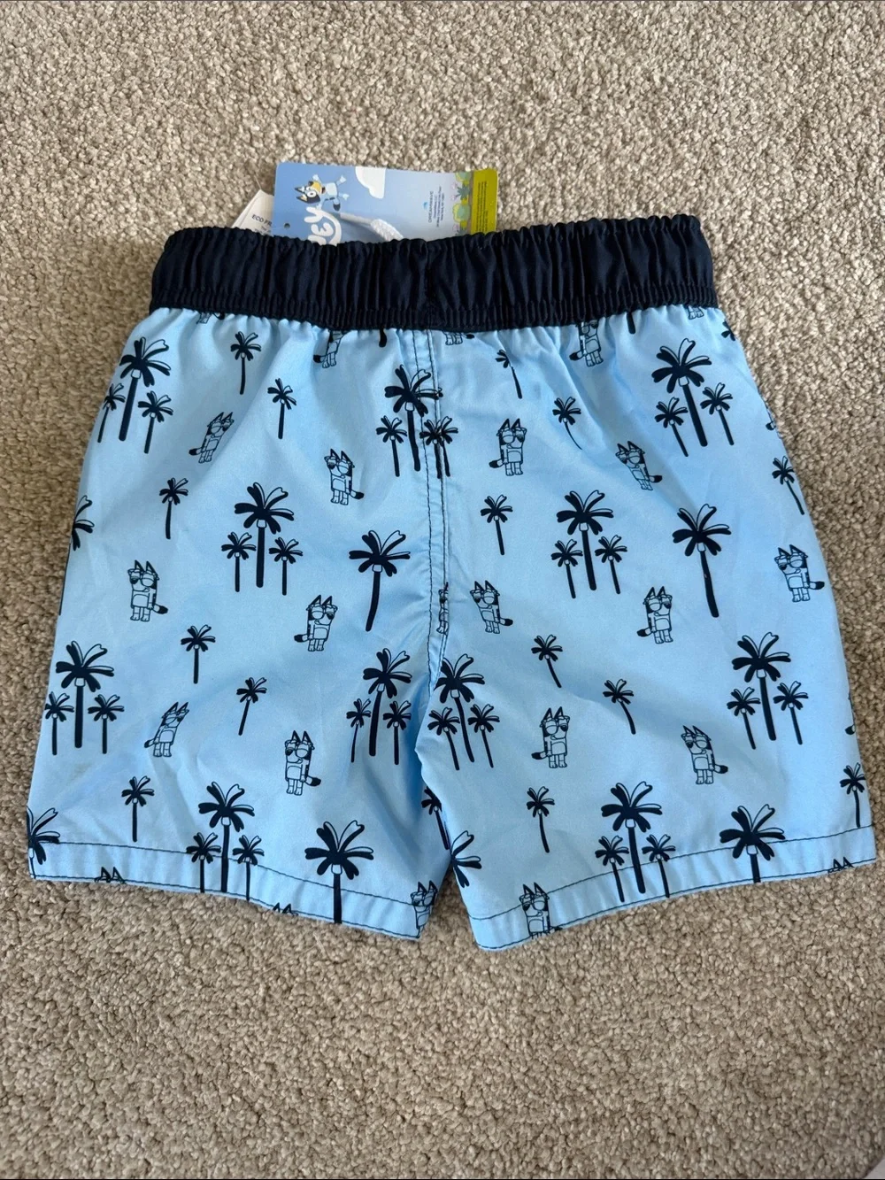 NWT Toddler Boys Bluey Lined Swim Shorts - 3T